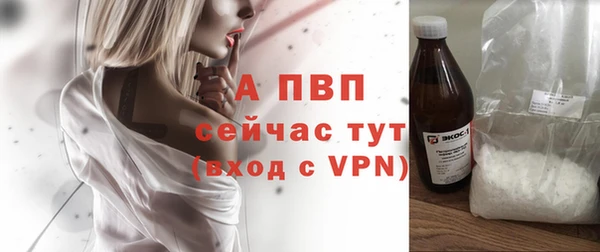 амф Липки