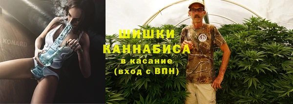 амф Липки